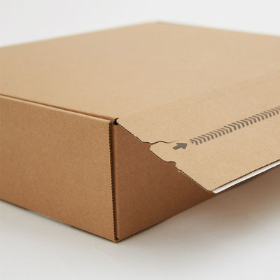 Logotipo Privado Personalizado Corrugado de Envio Adesivo Limpa de Lira Caixa Postal Aberta para Itens