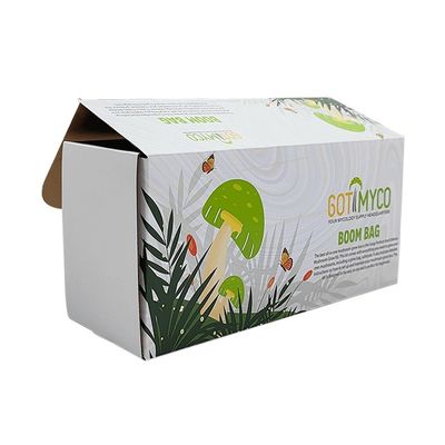Caixa de embalagem de cartão ondulado reciclável Caixa de envio de correio para cosméticos