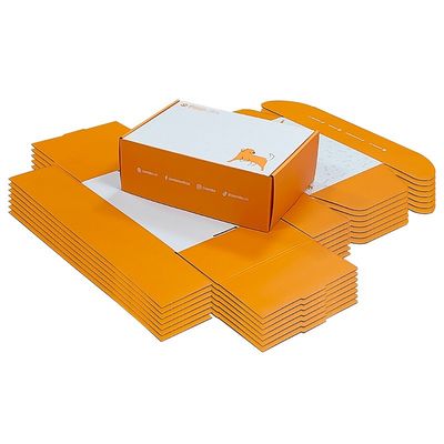 Embalagem de caixa de correio de papel para animais de estimação Eco-friendly Dog Box Type Folders