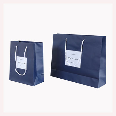 Encomenda personalizada aceitável Logotipo de luxo Impresso Saco de compras para belo presente de férias